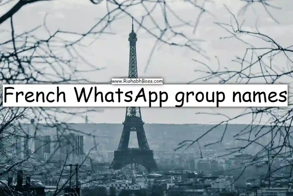 French WhatsApp group names