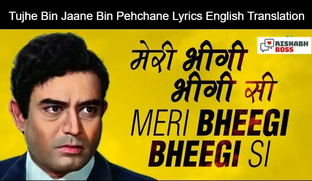 Meri Bheegi Bheegi Si Palkon Lyrics English Translation