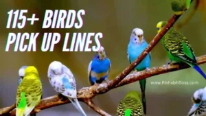 115+ Bird Pick Up Lines_ Try Out Now! (Flappy, Angry Birds)