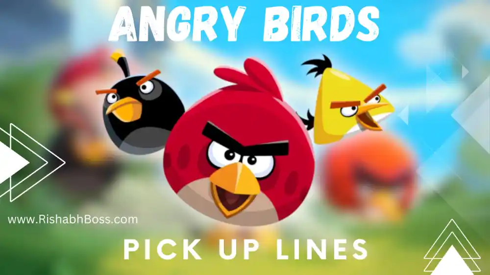 Angry Birds Pick Up Lines