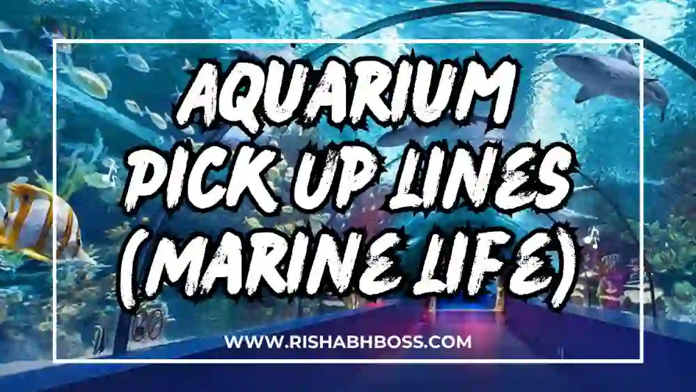 Aquarium Pick Up Lines (Marine Life)