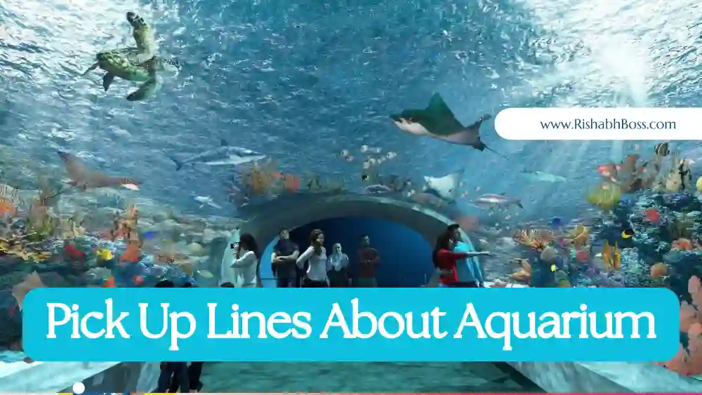 Funny Pick Up Lines About Aquarium
