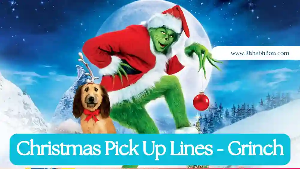 Grinch Christmas Pick Up Lines (Santa Claus)