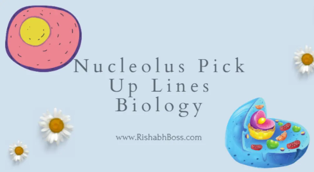 Nucleolus Pick Up Lines School Appropriate