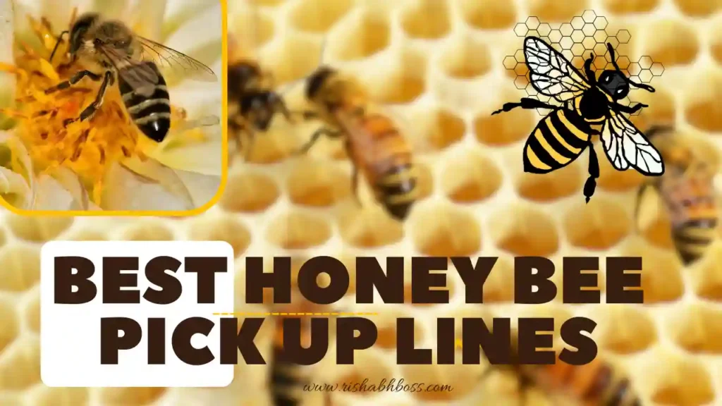 Best Honey Bee Pick Up Lines